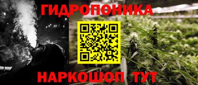 гашик Кунгур